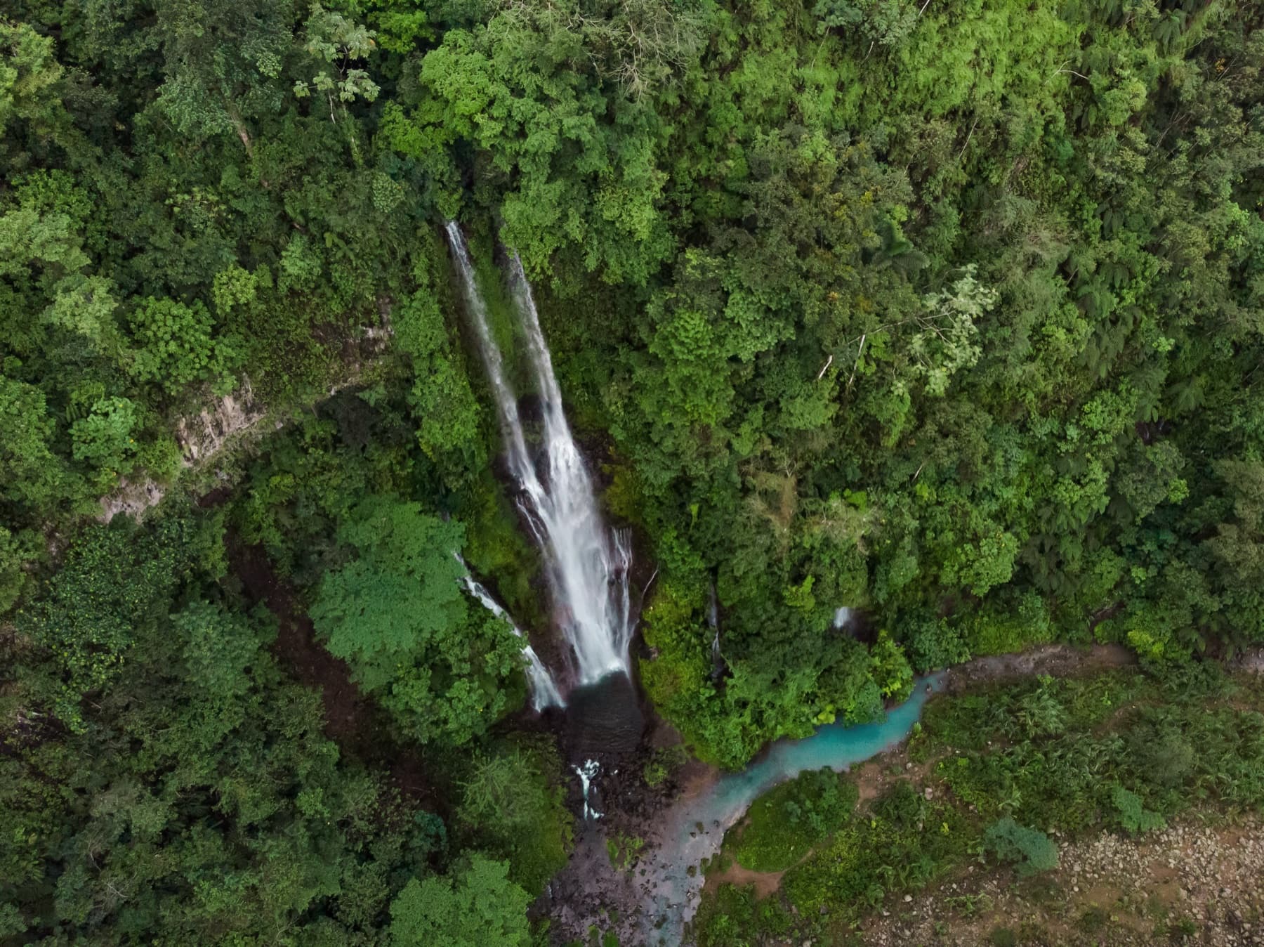 Cataratas y bosque